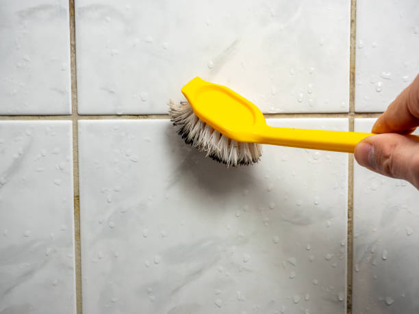 Best Mold Testing and Inspection Services in Stanley, ND
